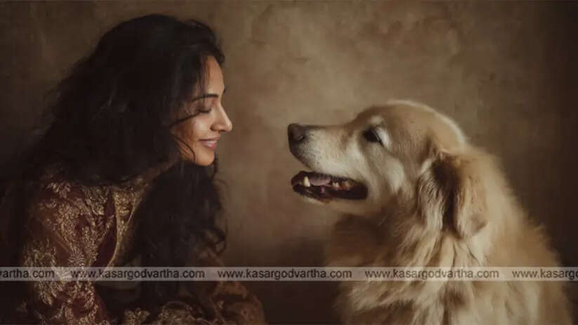 Dog looking at a human with love Meta Malayalam: