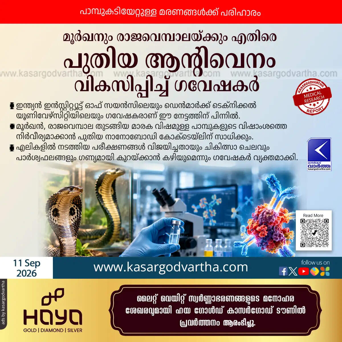 new antivenom developed against cobra king cobra venom iisc